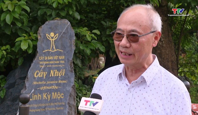 Bảo tồn và phát huy giá trị cây di sản ở Thanh Hoá- Ảnh 4. Bảo tồn và phát huy giá trị cây di sản ở Thanh Hoá- Ảnh 4.