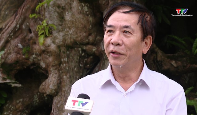 Bảo tồn và phát huy giá trị cây di sản ở Thanh Hoá- Ảnh 2. Bảo tồn và phát huy giá trị cây di sản ở Thanh Hoá- Ảnh 2.